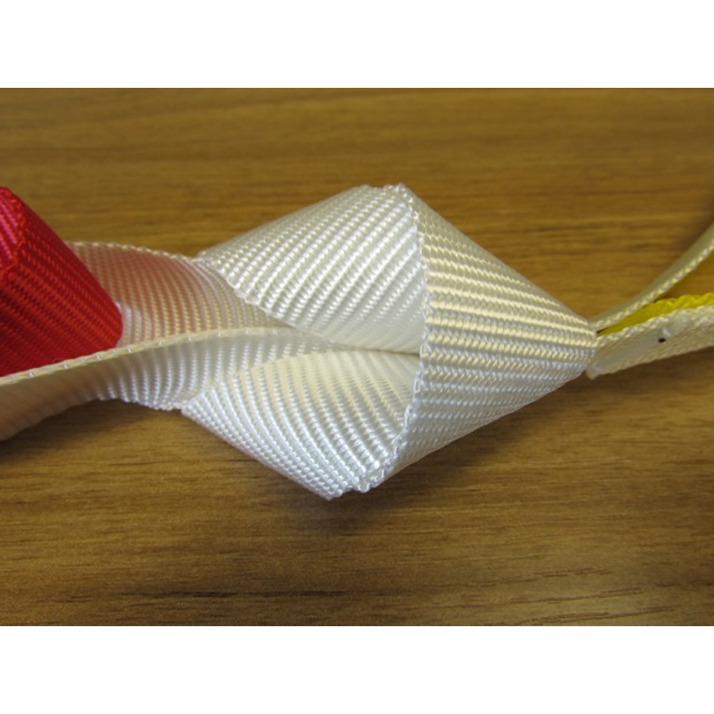 /images/Prism-Mackworth-webbing-extensions-buy-order-online-easycaresystems1.jpg