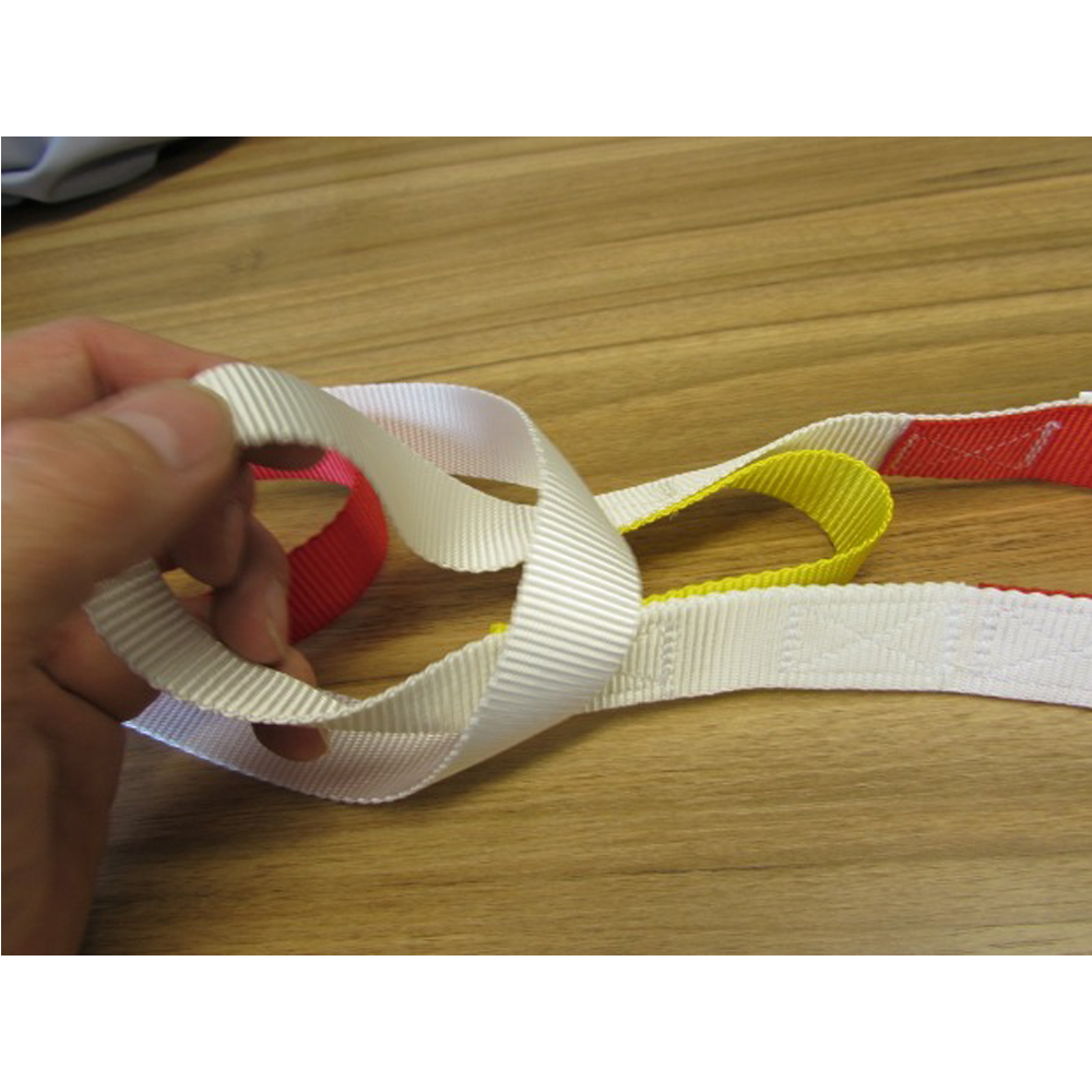 /images/Prism-Mackworth-webbing-extensions-buy-order-online-easycaresystems1.jpg
