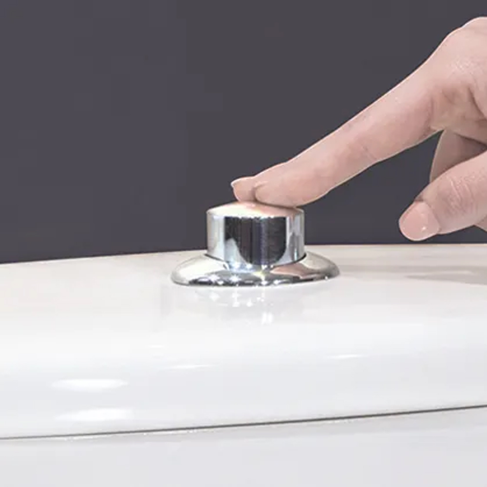 Invisible Creations | The Raised Toilet Flush Button